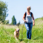 Protecting Your Pet from Fleas, Ticks, and Mosquitoes